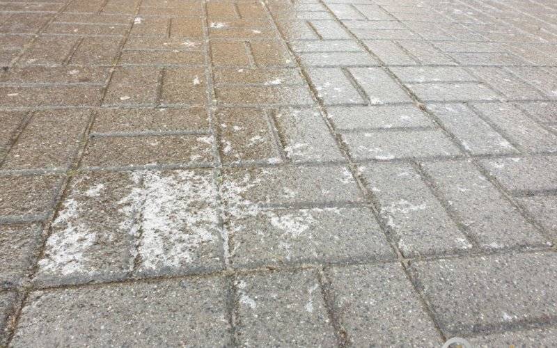 Jest bardzo ślisko – FOTO