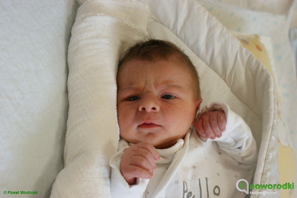 Witamy szesnaścioro maluchów – FOTO