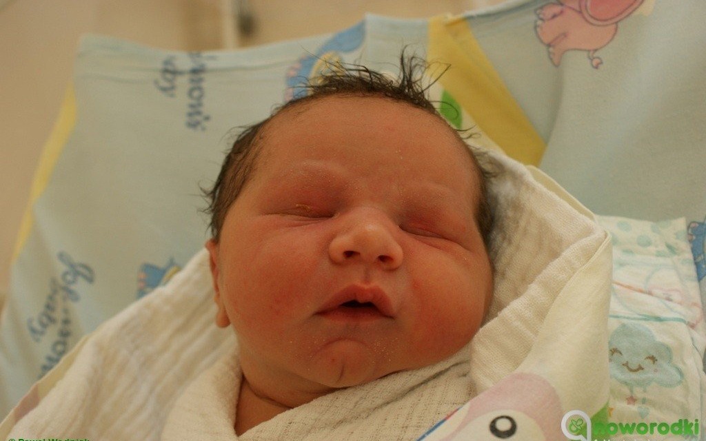 Witamy sześcioro dzieciaczków – FOTO