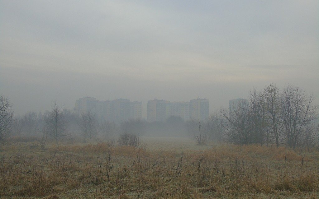 Smogowa porażka w Małopolsce