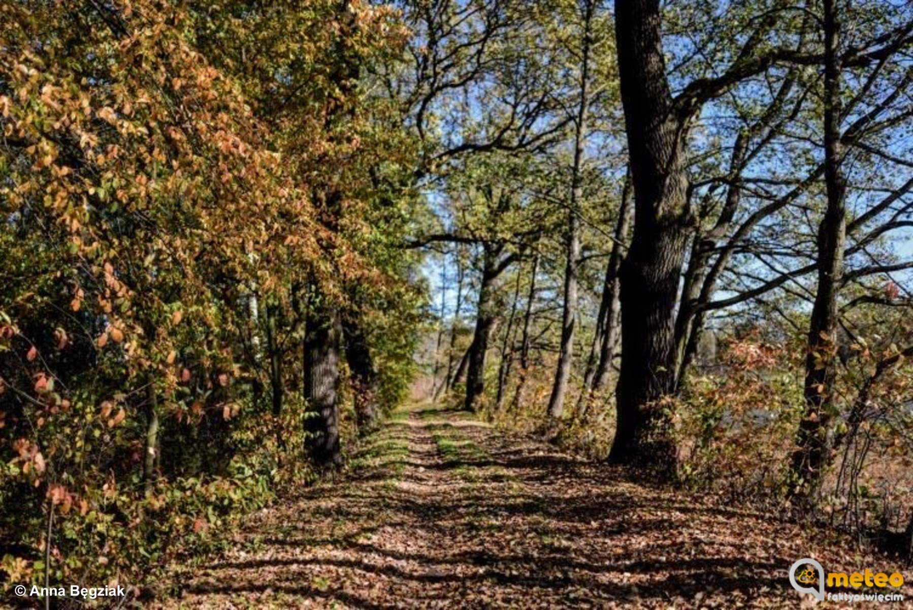 Nawet 13 stopni. Wietrznie