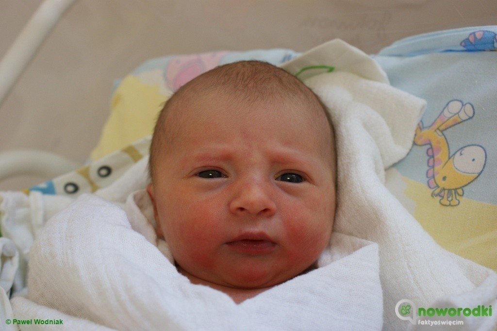 Witamy noworodki ostatni raz w tym roku – FOTO