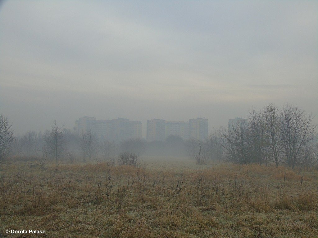 Zagrożenie zanieczyszczeniem powietrza