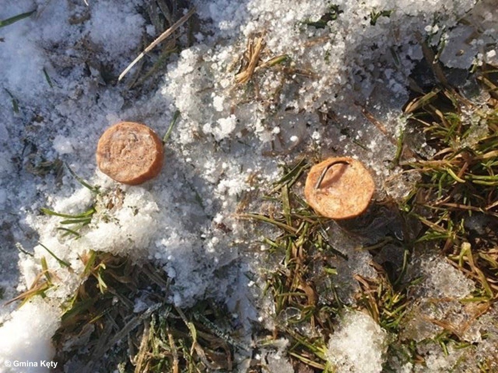 Kiełbasa z gwoździami. Uważajcie na swoje czworonogi