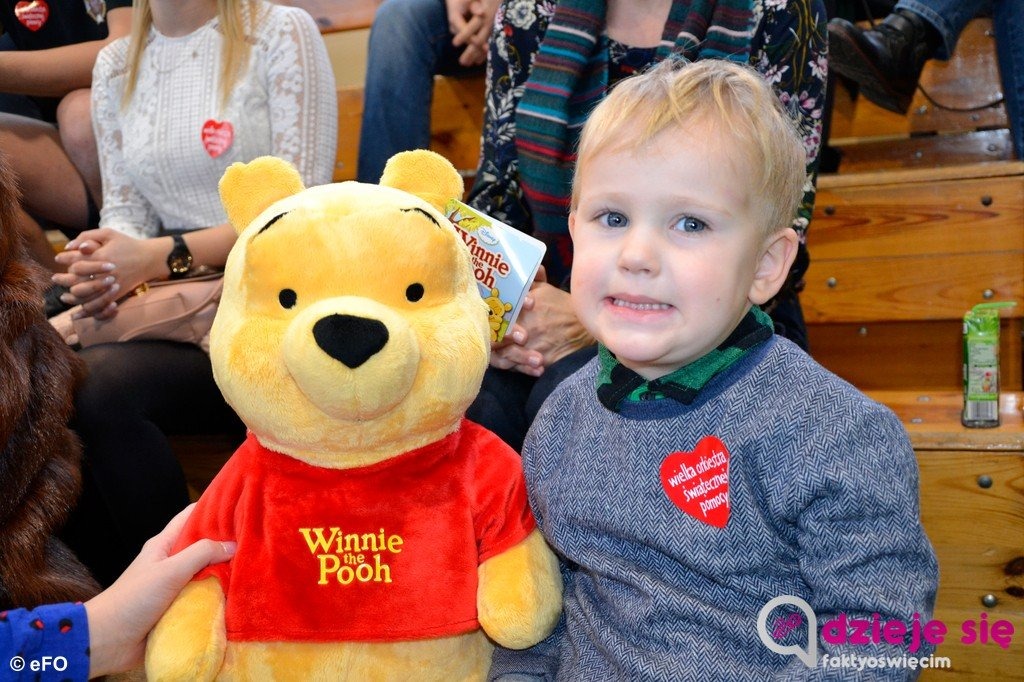 28. Finał WOŚP w powiecie. Zagra siedem gmin – FILM