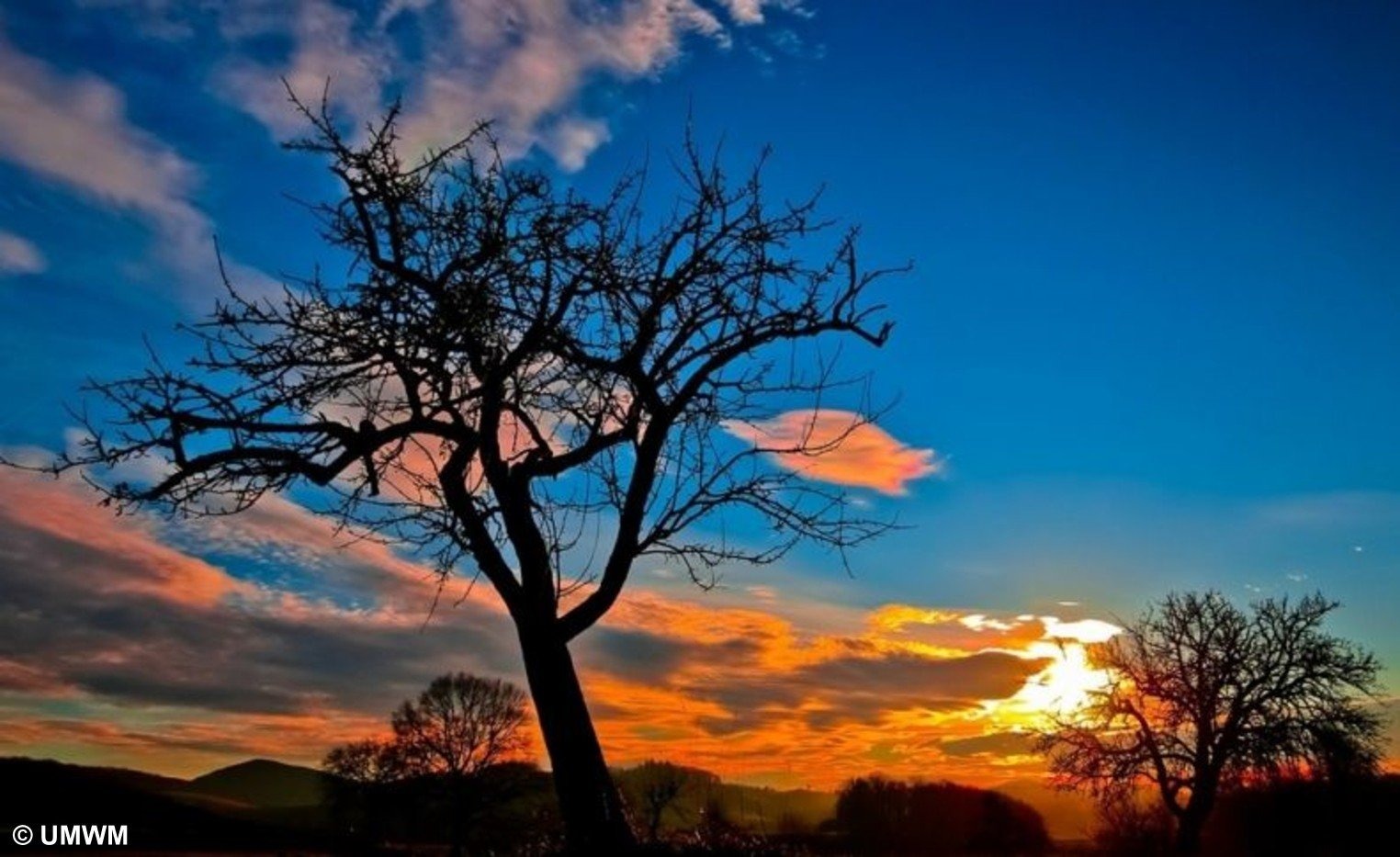 Ponad 160 ekointerwencji w dwa tygodnie