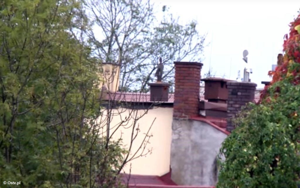 Oświęcimskie Wieści z ratusza – FILM