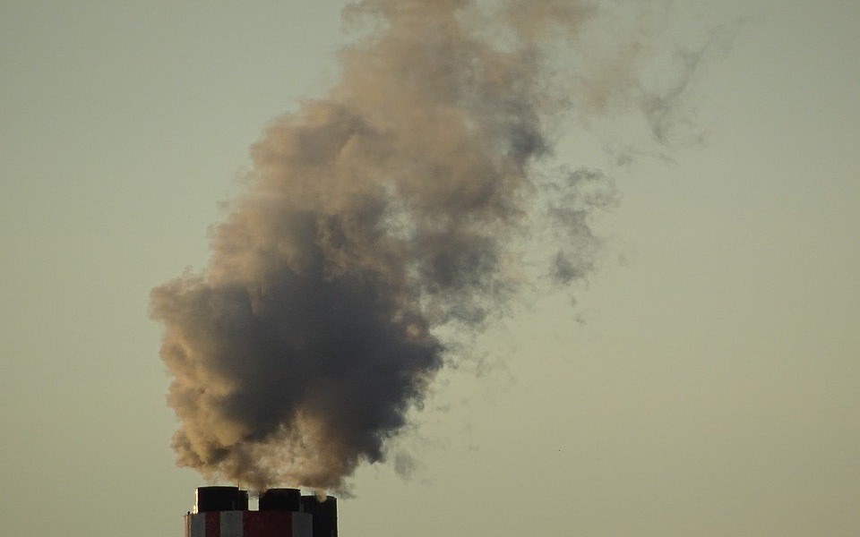 Zakaz palenia węglem w Oświęcimiu. Wypowiedz się