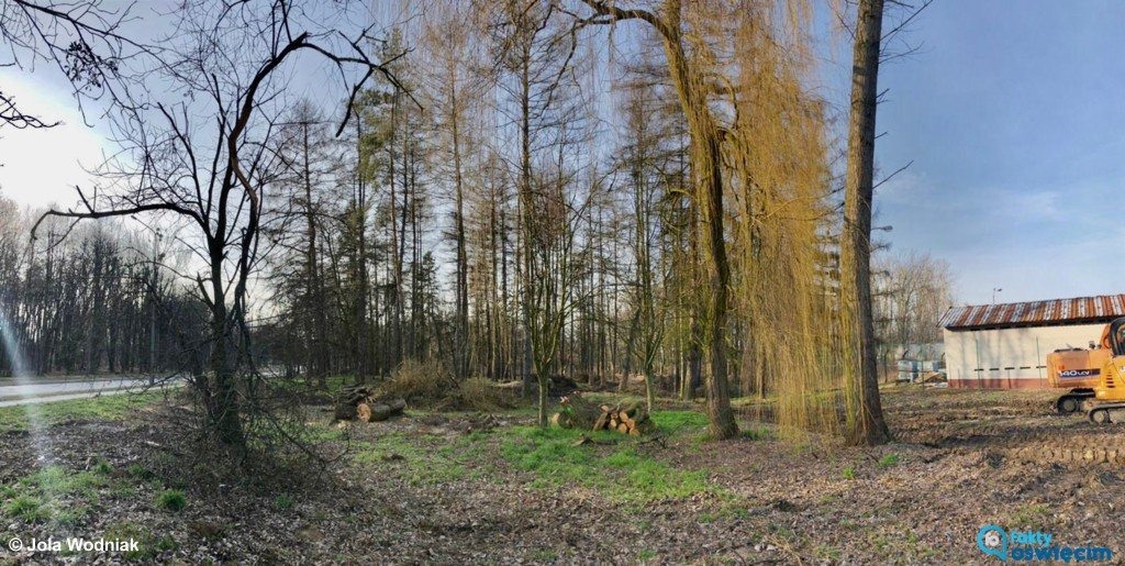 Pierwszy etap prac w parku zakończony – FOTO