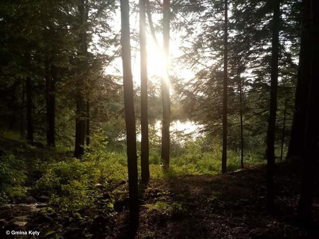 Chodź po lesie, nie po śmieciach – przyłącz się do akcji