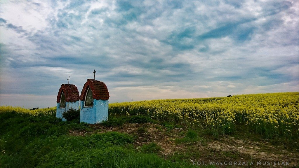 Prognoza pogody na weekend