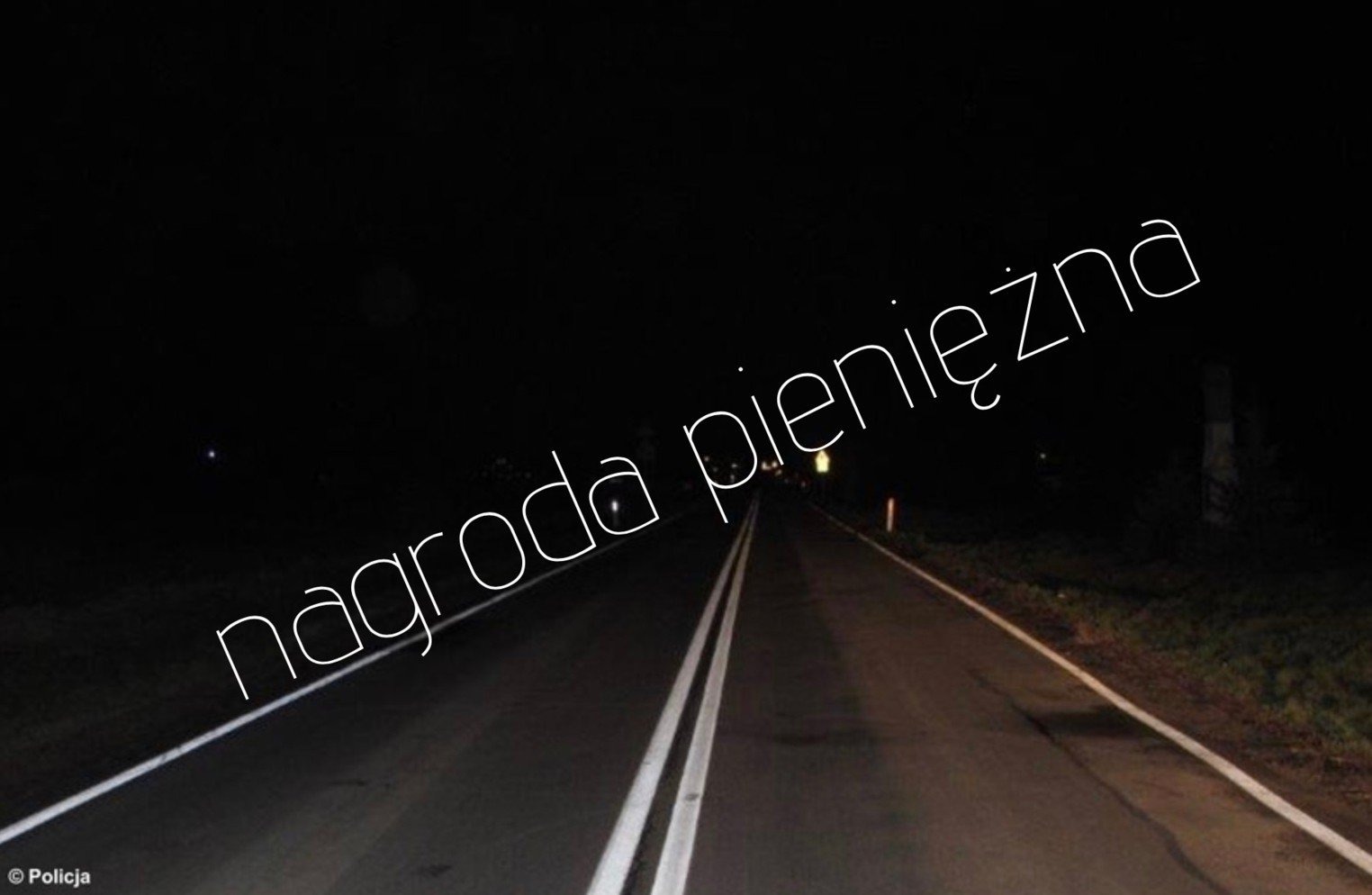 Nagroda za wskazanie sprawcy wypadku