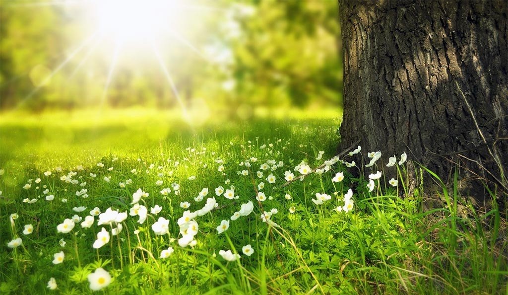 Alarmy smogowe alarmują: Dusimy się