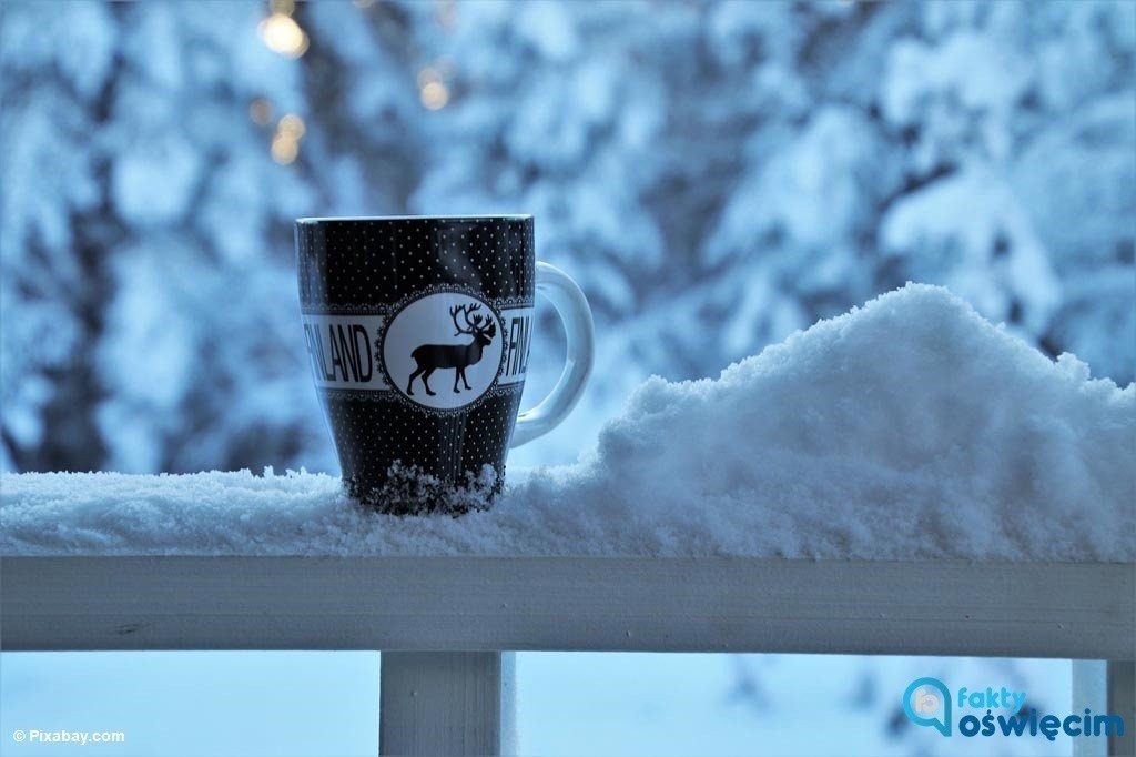 Kubek gorącej herbaty na przystanku autobusowym