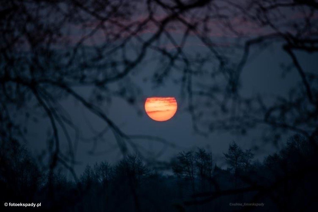 Spacer, czy na pewno? – FOTO