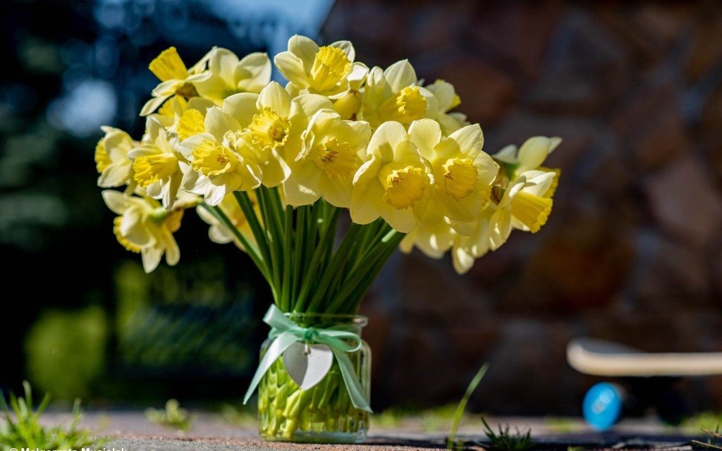 Jak udekorować dom kwiatami? #WspierajmySięLokalnie – FILMY, FOTO