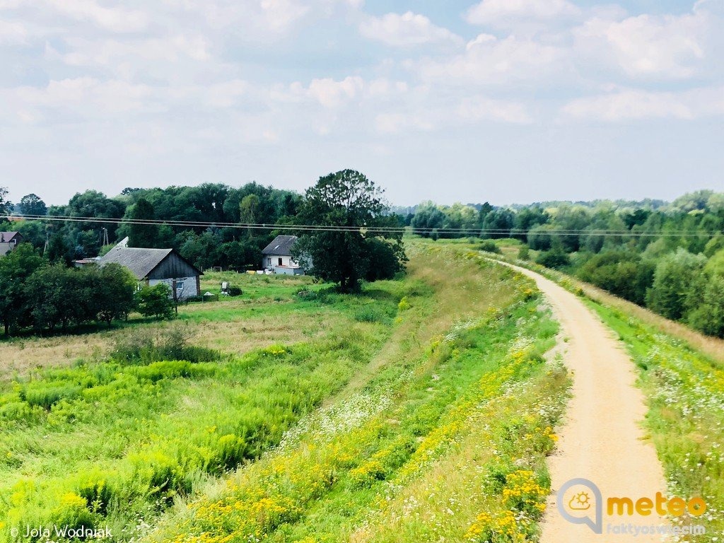 W piątek 19 stopni Celsjusza