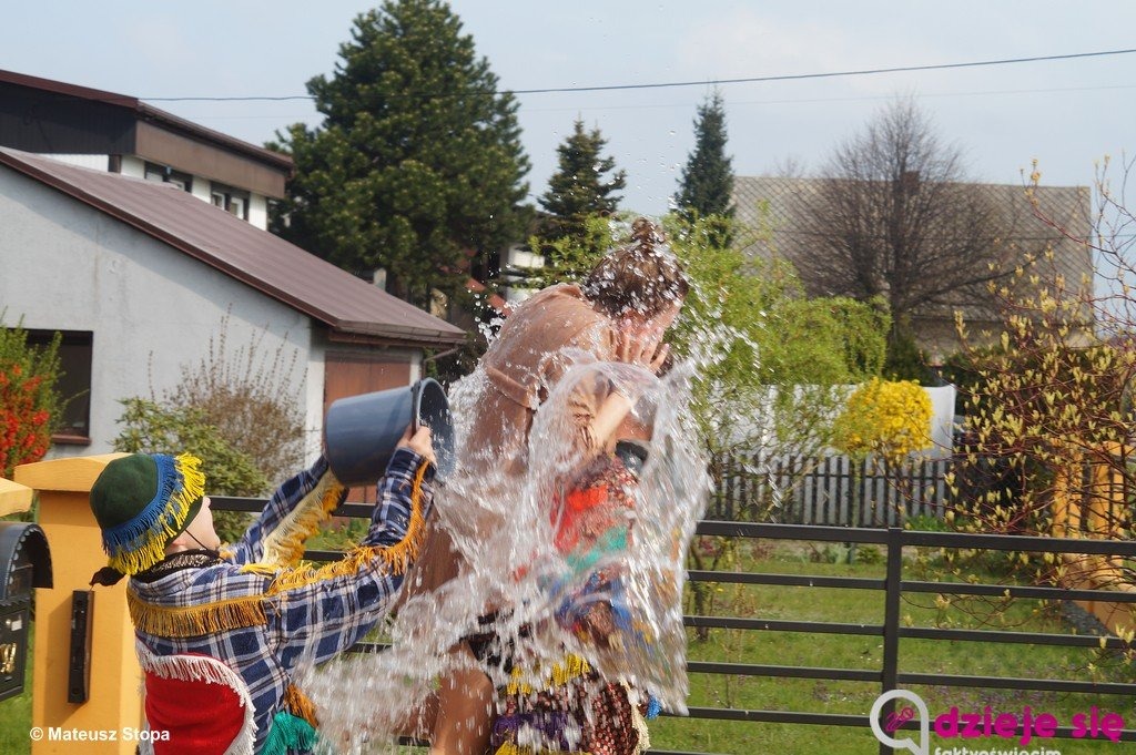 Przerwana tradycja śmierguśników – FOTO