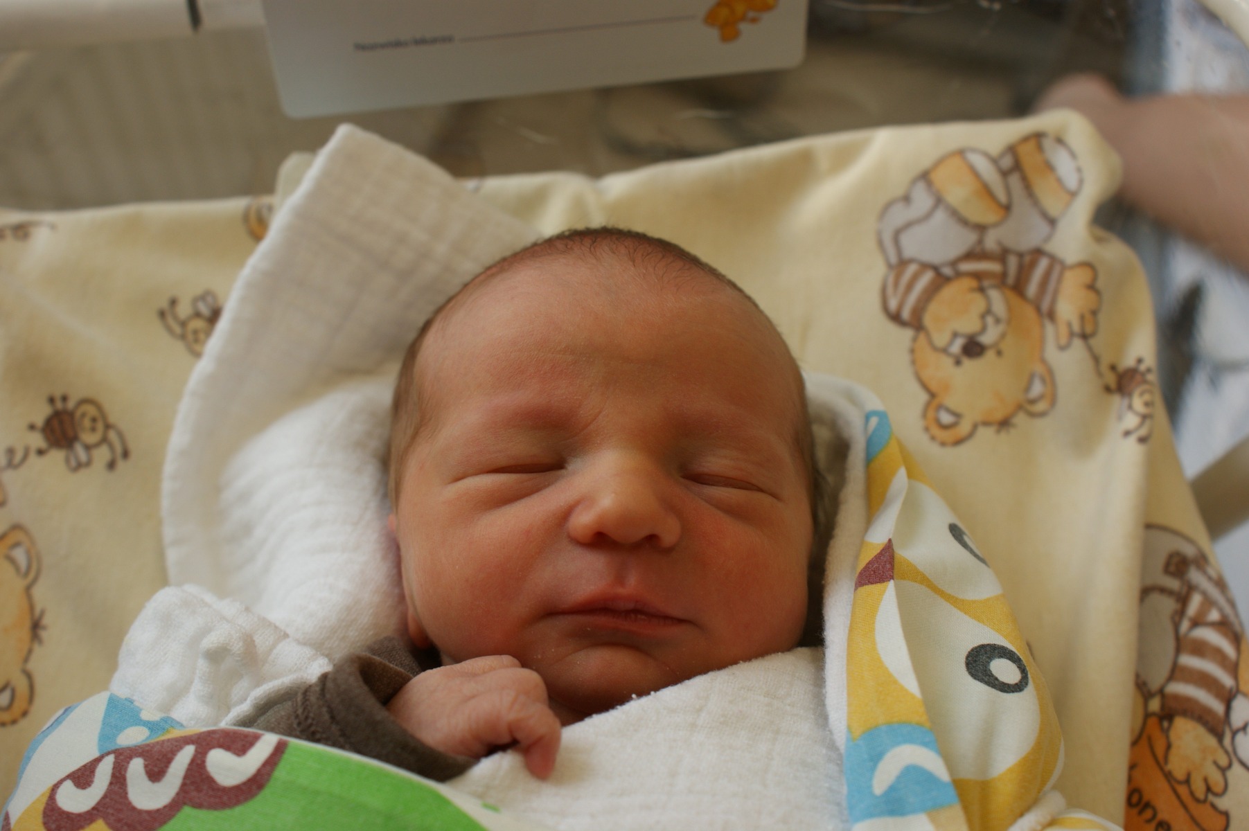 Przysyłajcie zdjęcia maluchów, galeria eFO czeka