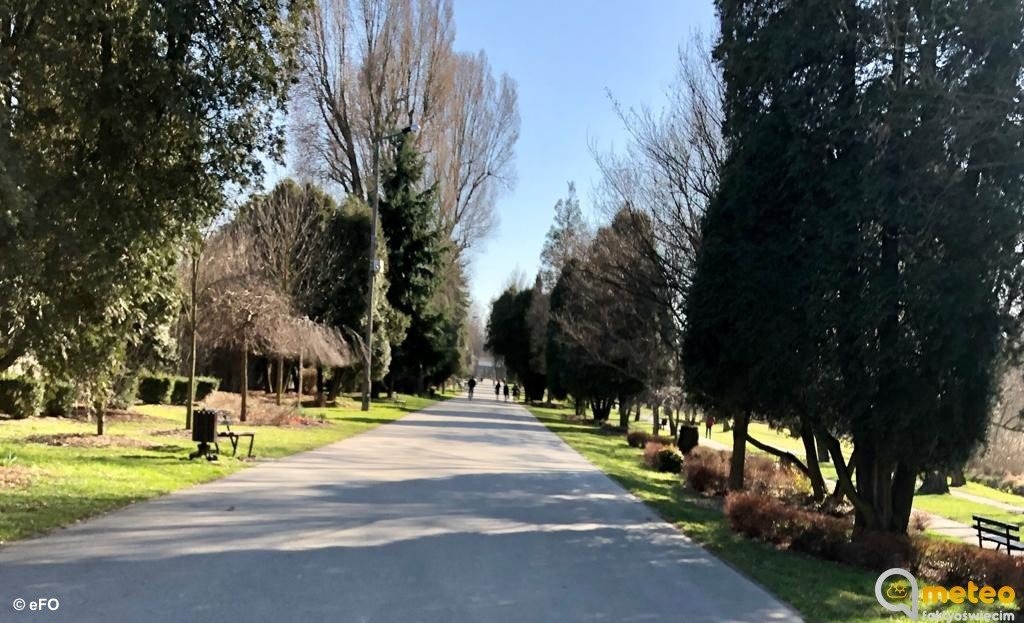 Minister środowiska: zakaz wstępu do lasu będzie zdjęty