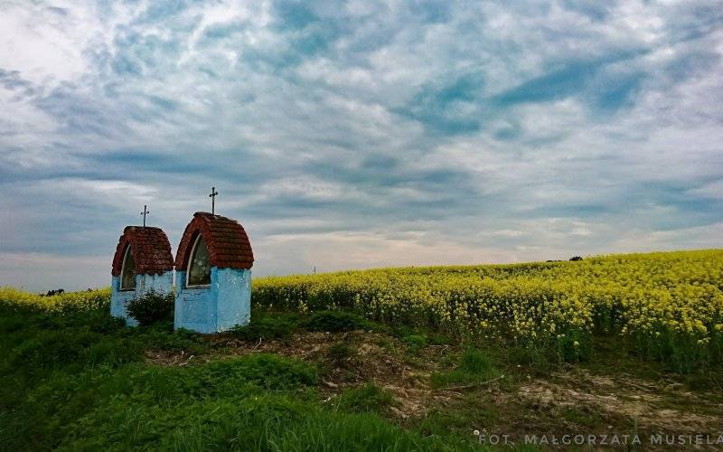 Weekend ciepły i pogodny