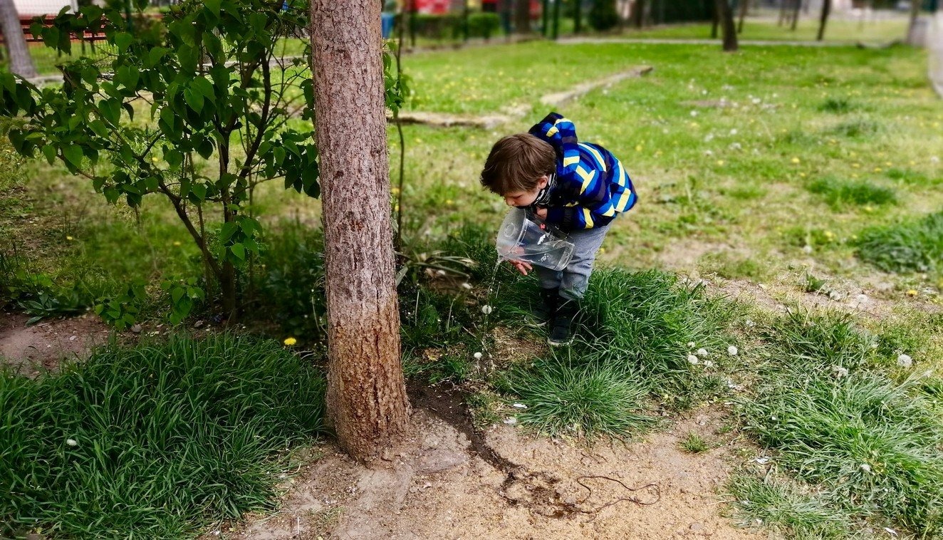 #ChallengeDlaZiemi, czyli podlej drzewo – FILMY