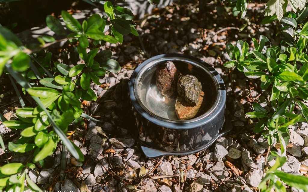 Cafe Bergson podpowiada, jak dbać o planetę – FOTO