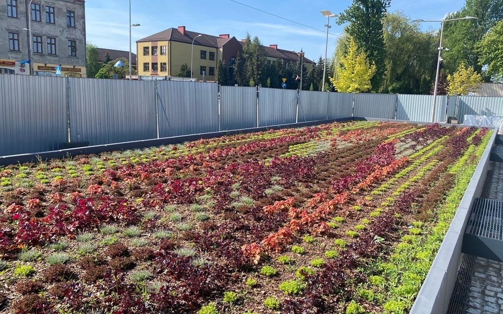 Mozaika na ścianie i przed budynkiem dworca – FOTO