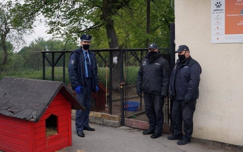 Funkcjonariusze zakładu karnego z pomocą zwierzakom