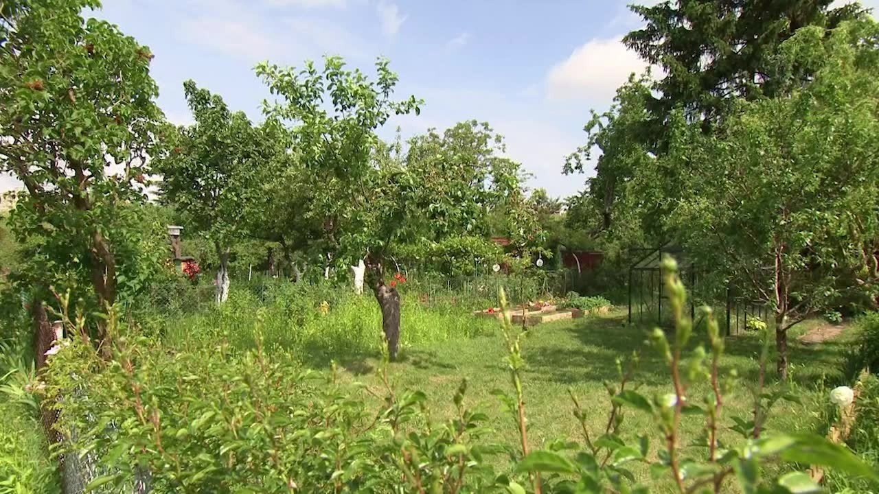 Jak założyć zielnik na działce? – FILM