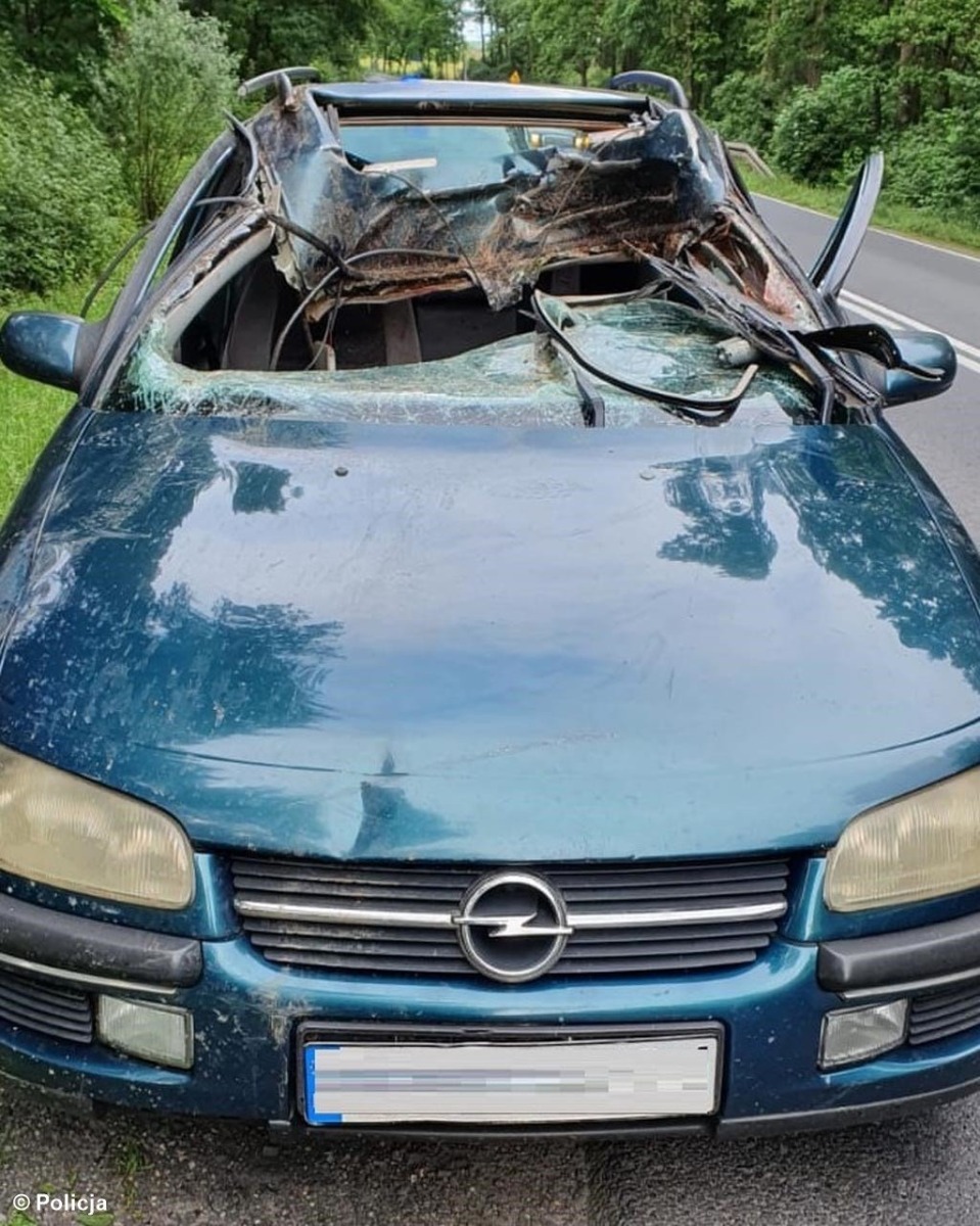 Wypadku nie przeżył jeleń, kierowca trafił do szpitala – FOTO