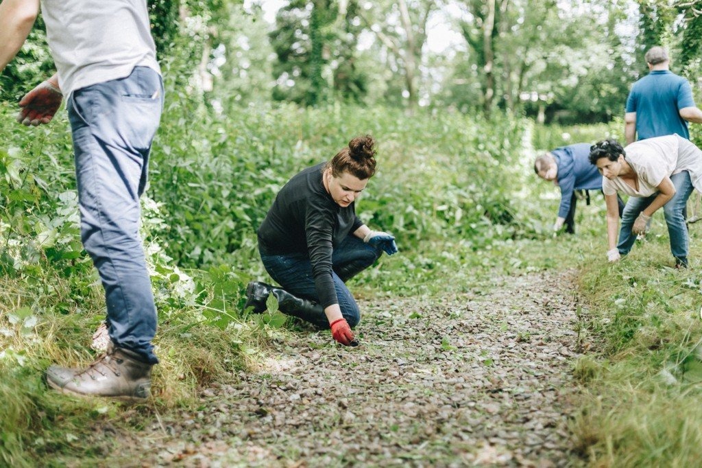 Akcja porządkowania zabytkowego cmentarza. Przyłączysz się? – FOTO
