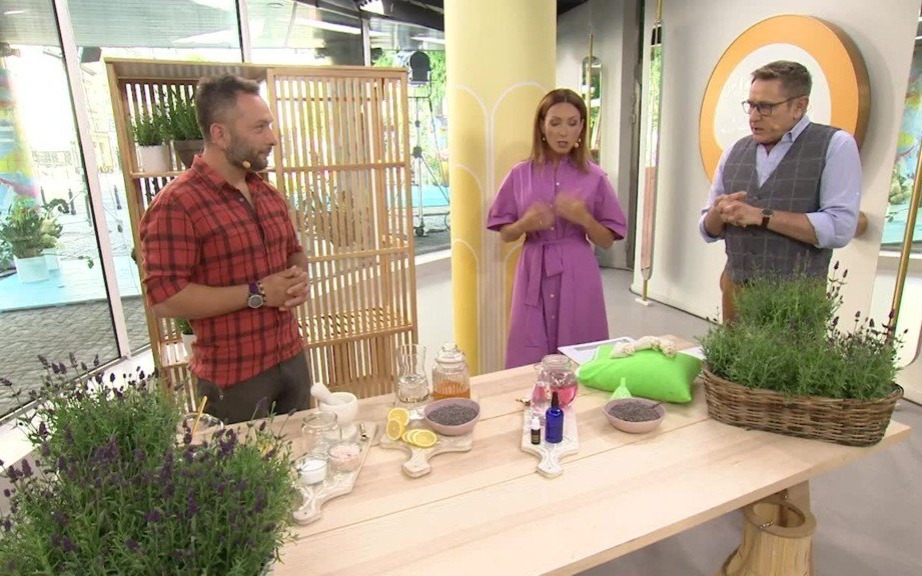 Jak wykorzystać lawendę w domu? – FILM