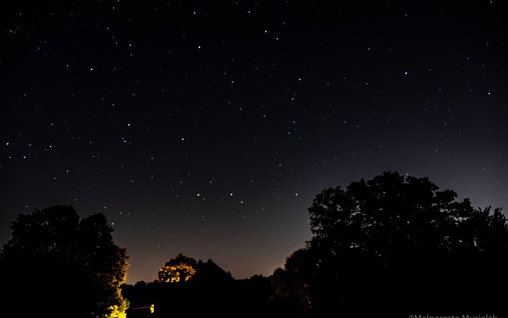 Perseidy w Waszych obiektywach – FOTO