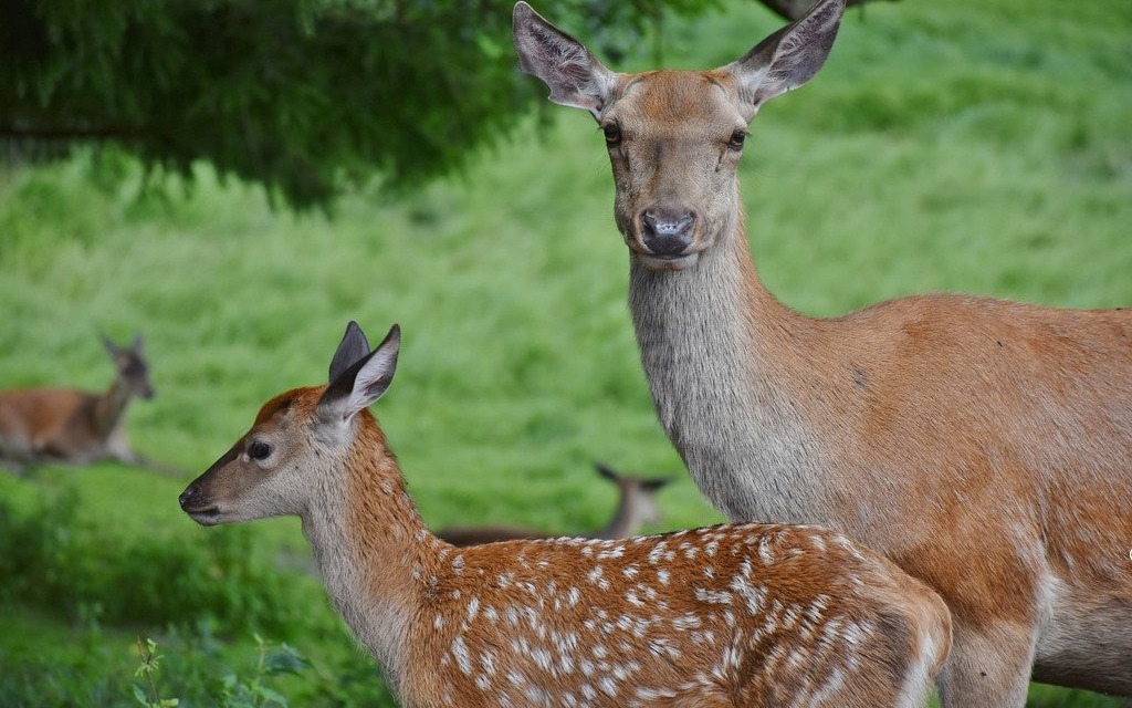Nie zaśmiecaj naszego domu – FOTO