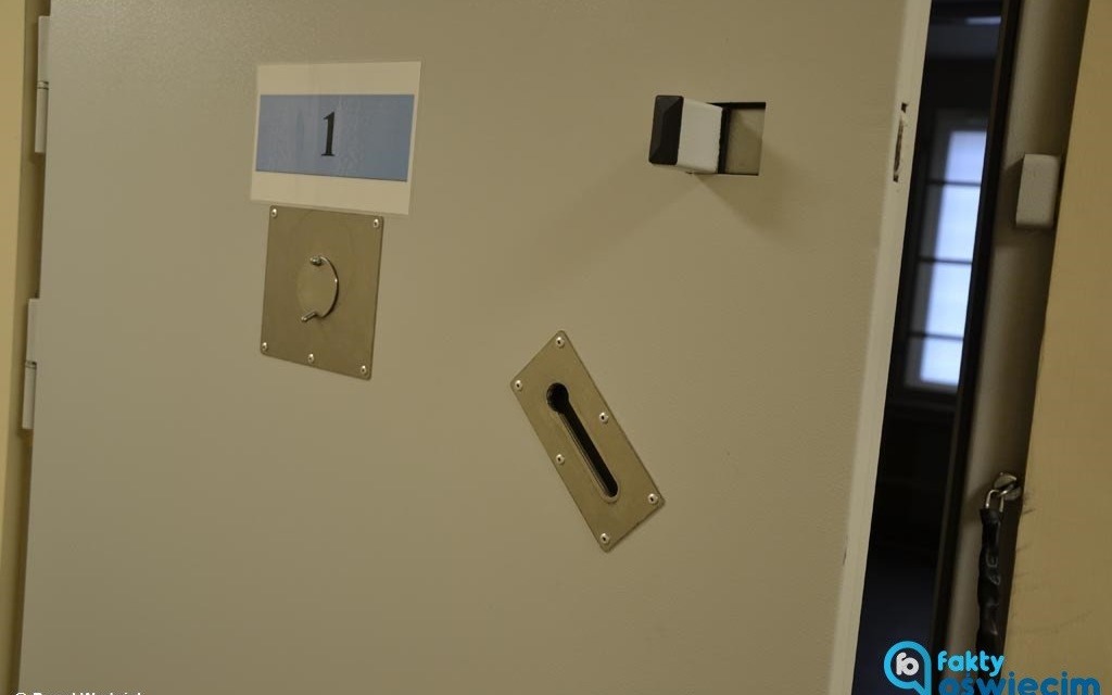 Promile, prędkości i dożywotni zakaz kierowania