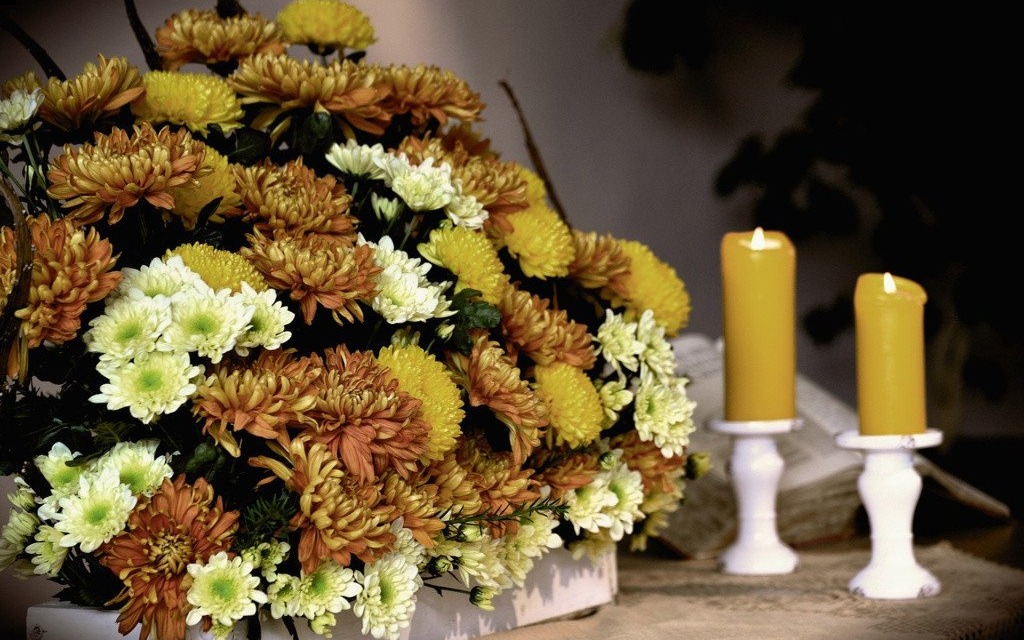 Pomoc dla hodowców kwiatów