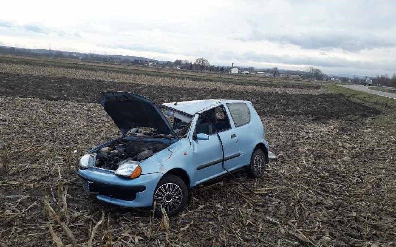 Dachowała na polu kukurydzy – FOTO