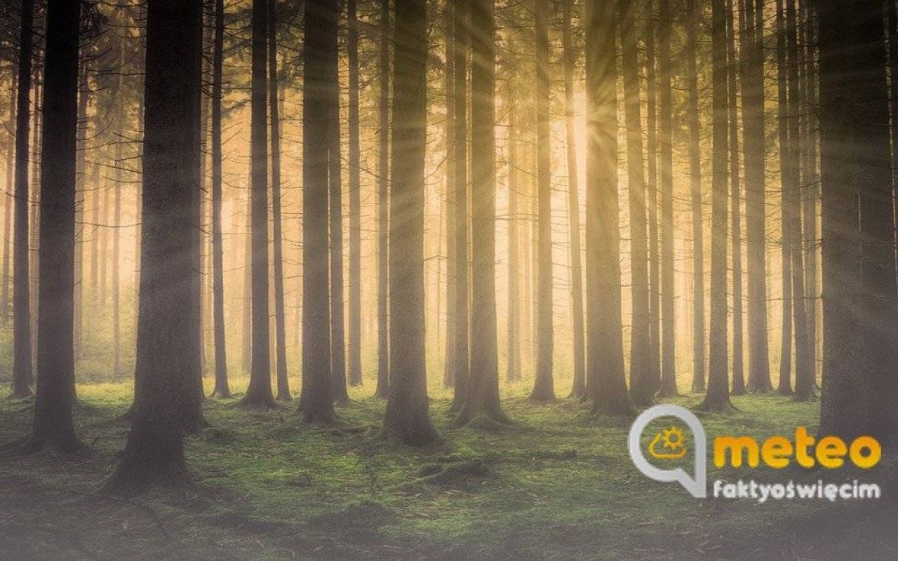 IMGW ostrzega przed oblodzeniem i gęstą mgłą