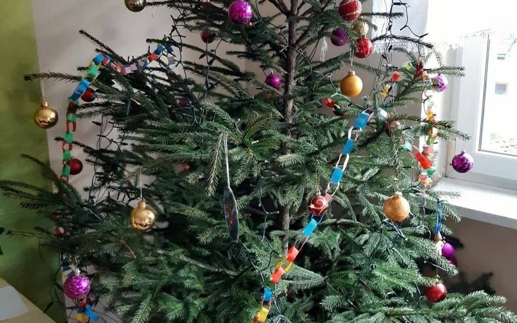 Poświąteczna zbiórka choinek