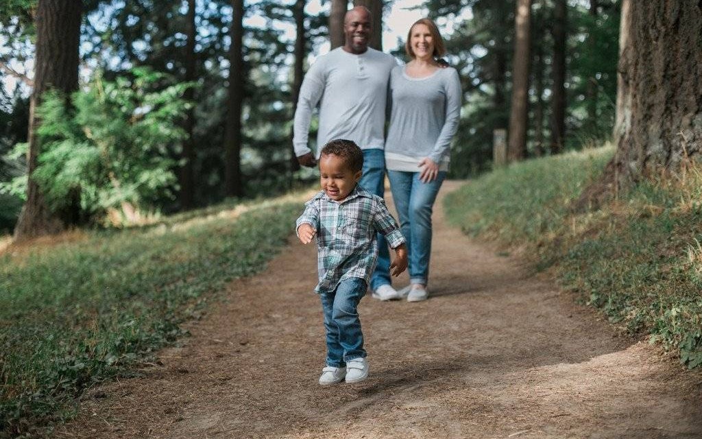 Maląg: od 1 lutego można składać wnioski o „500 plus” przez internet