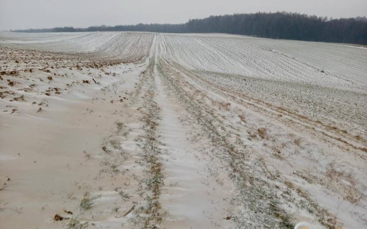 Pył znad Sahary dotarł do powiatu oświęcimskiego – FOTO