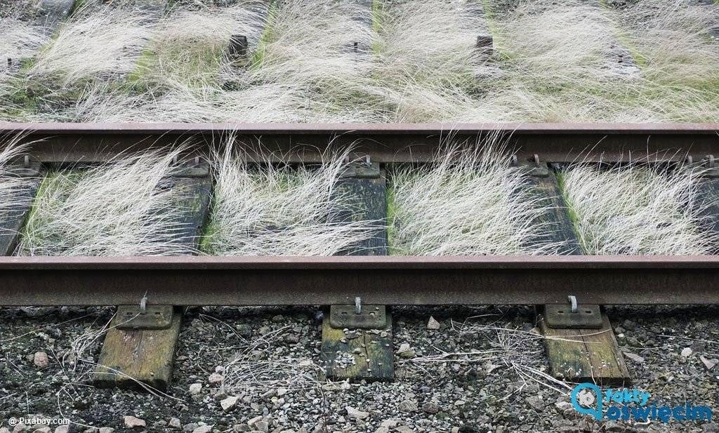 Oświęcim stracił 11 milionów i walczy o zmianę przepisów