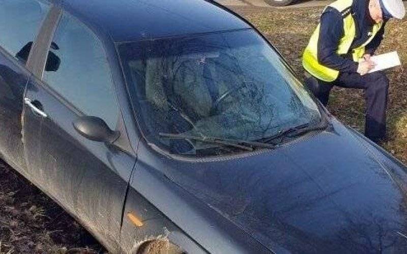 W Osieku wpadły na siebie dwie alfy romeo – FOTO
