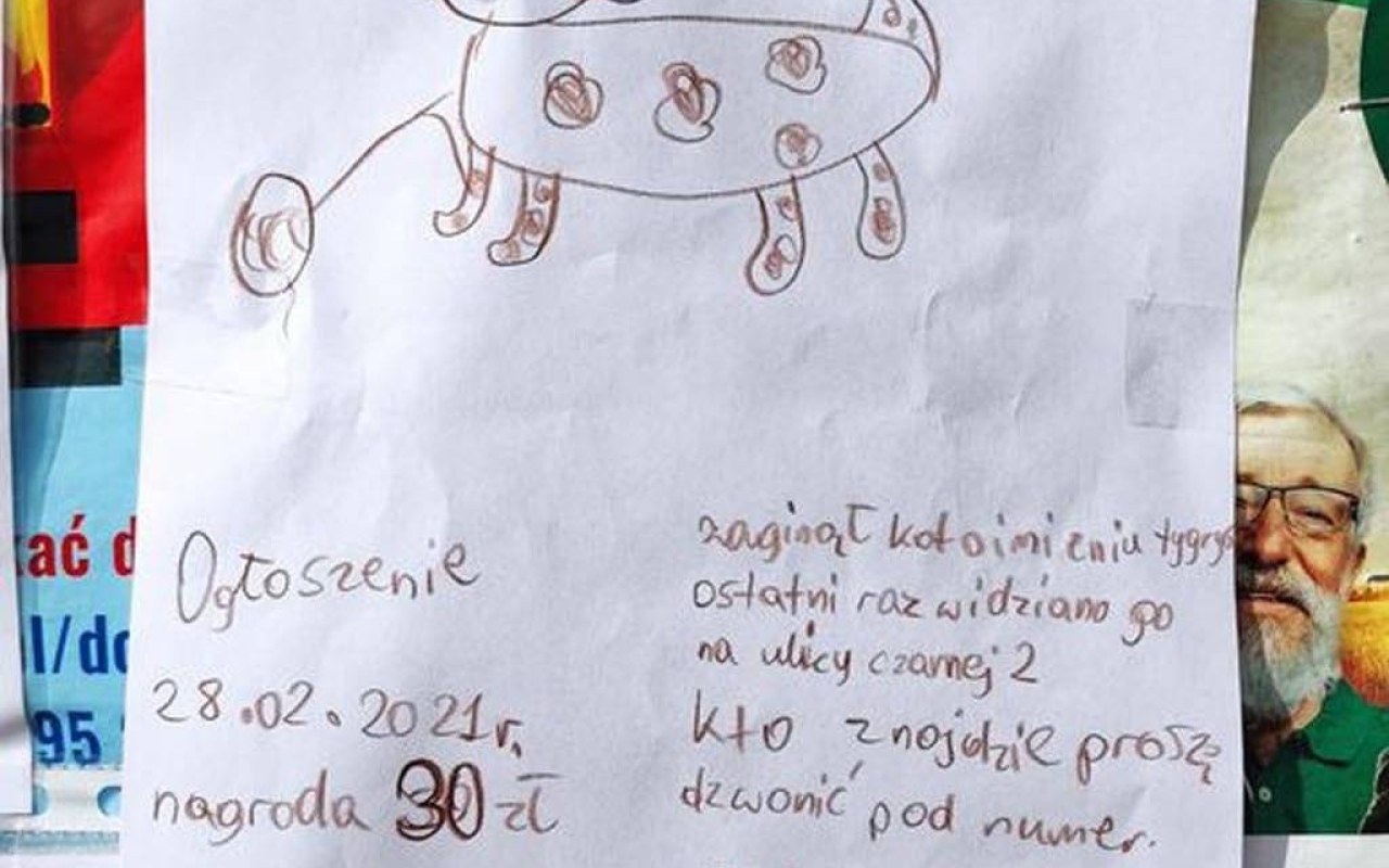 Poszukiwania Tygrysa. Niezwykłe plakaty w Brzezince