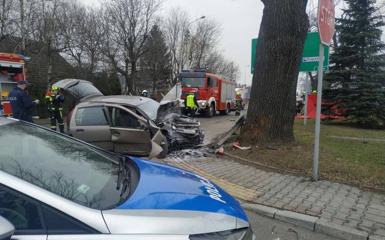 Senior uderzył samochodem w drzewo – FOTO
