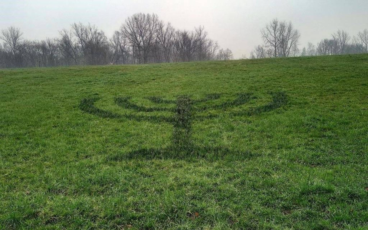 Symboliczna menora z żonkili