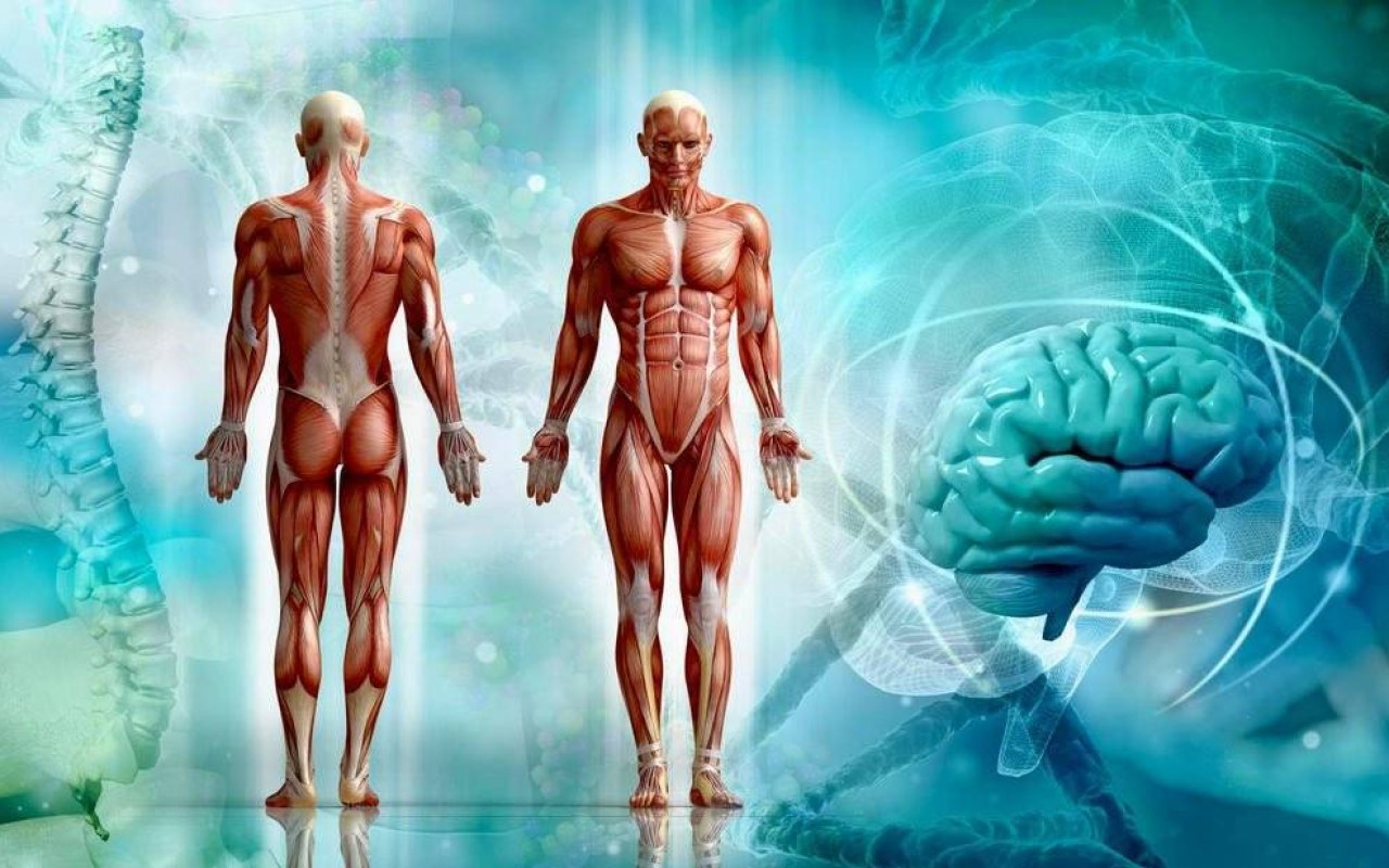 Wykład dla dzieci organizm w liczbach