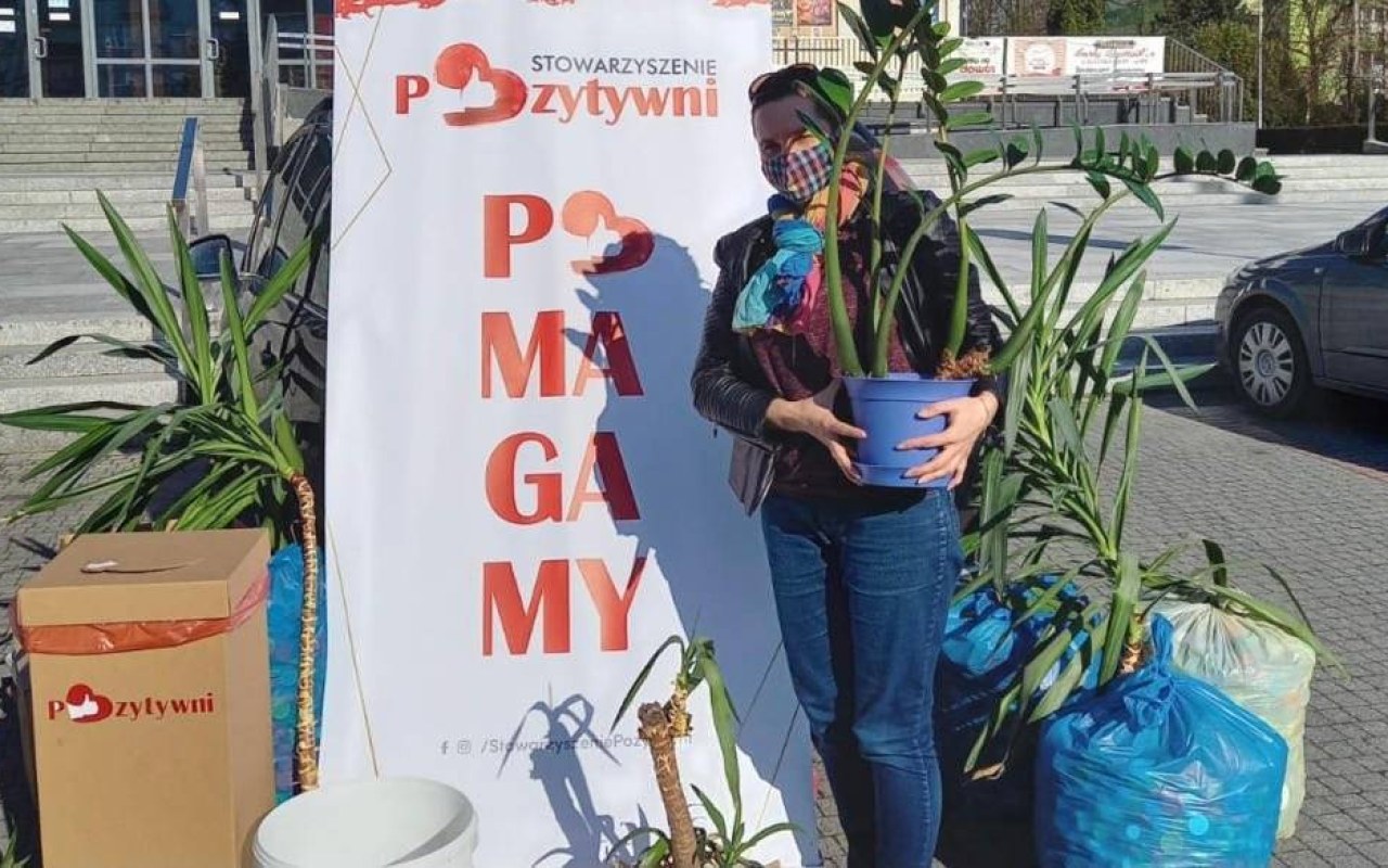 Podarowaliście kilkadziesiąt roślin i donic – FILM, FOTO