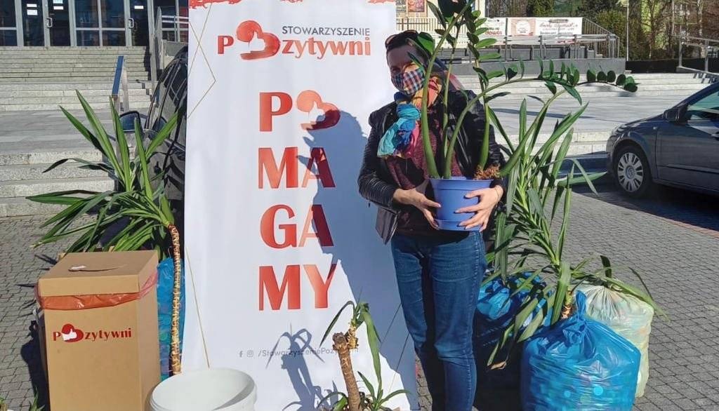 Podarowaliście kilkadziesiąt roślin i donic – FILM, FOTO